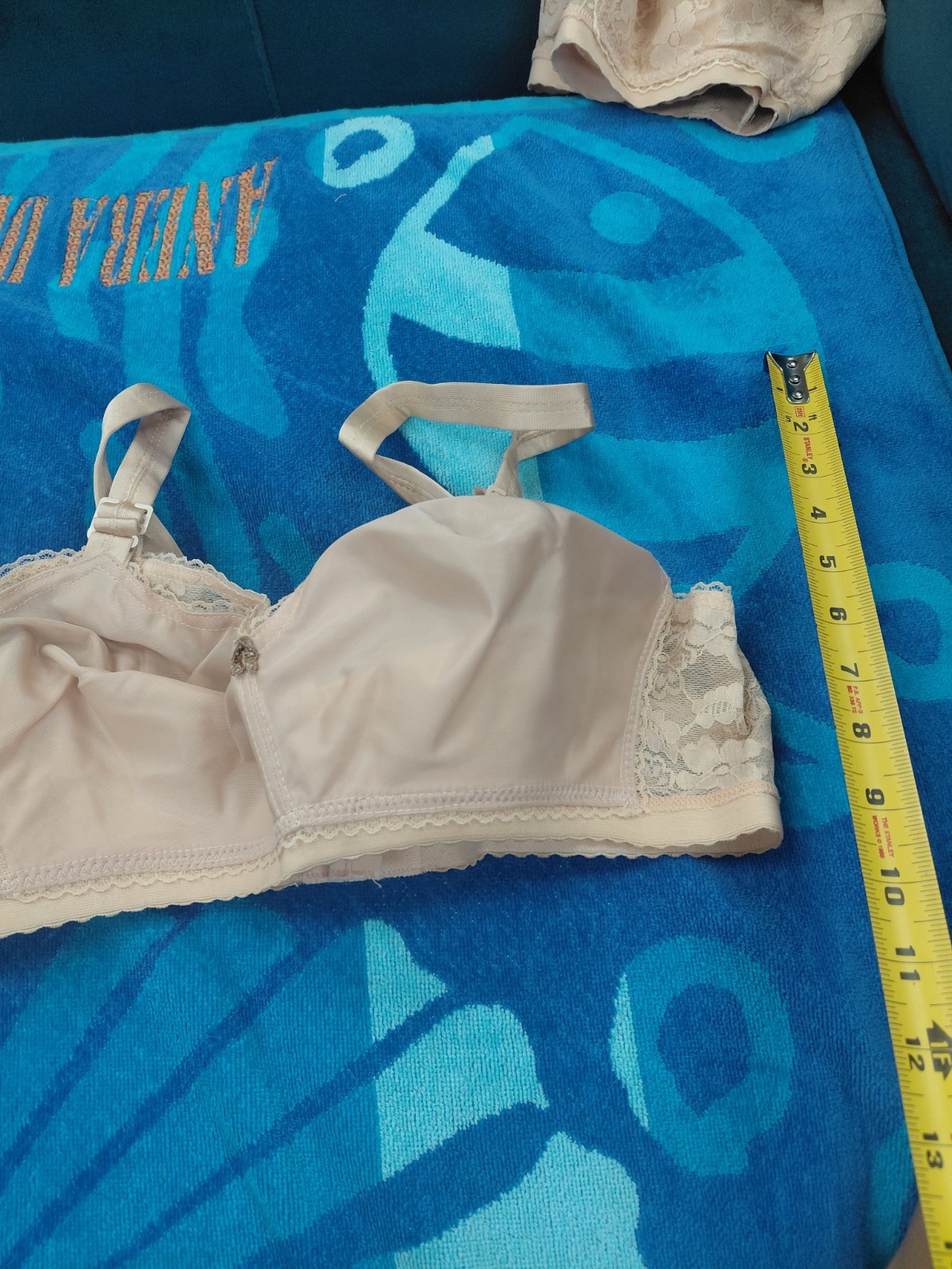 Vintage Lady Cameo Lingerie Bra Size 34E