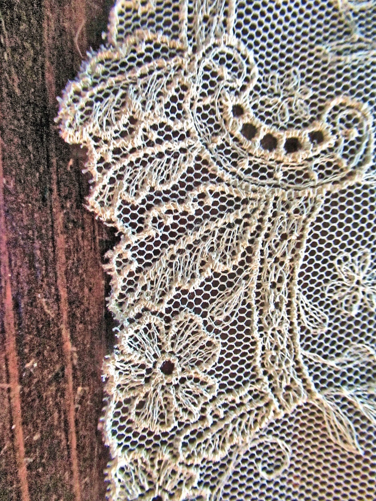 Vtg Lady’s Collar Lappet Scarf Limerick Lace Floral Embroidered Net