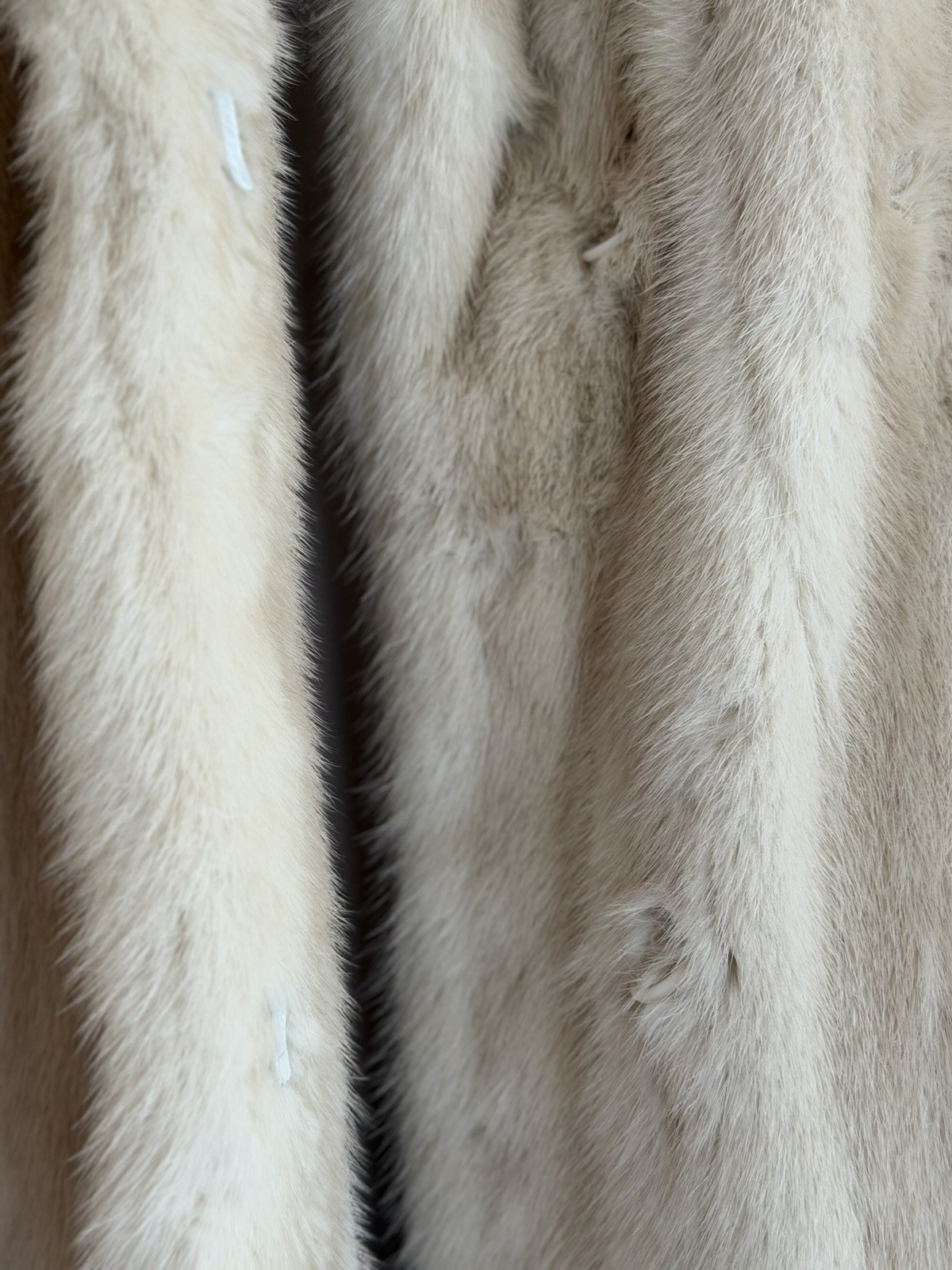 EMBA Furs
