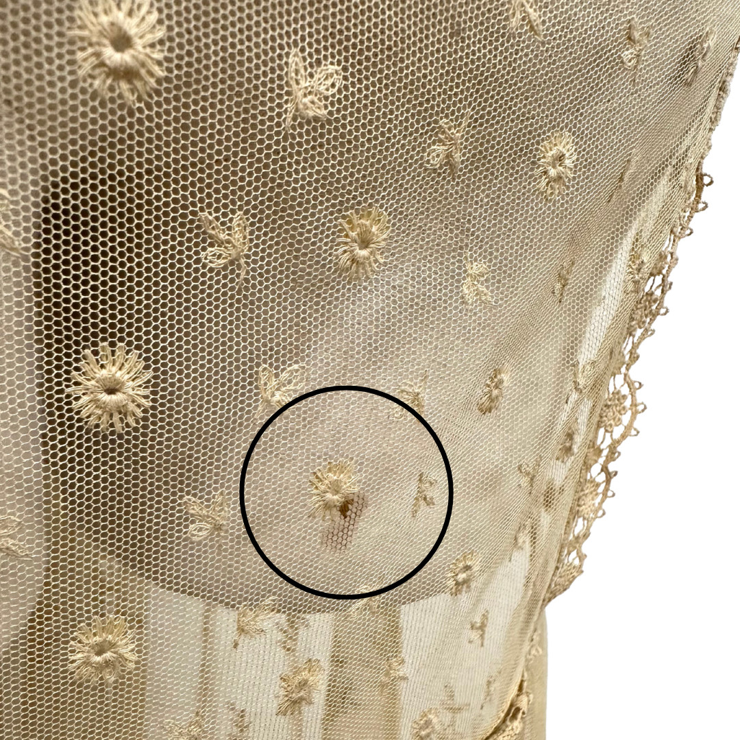 Antique 1900s Edwardian Ecru Net Lace Floral Short Sleeve Sheer Tea Dress