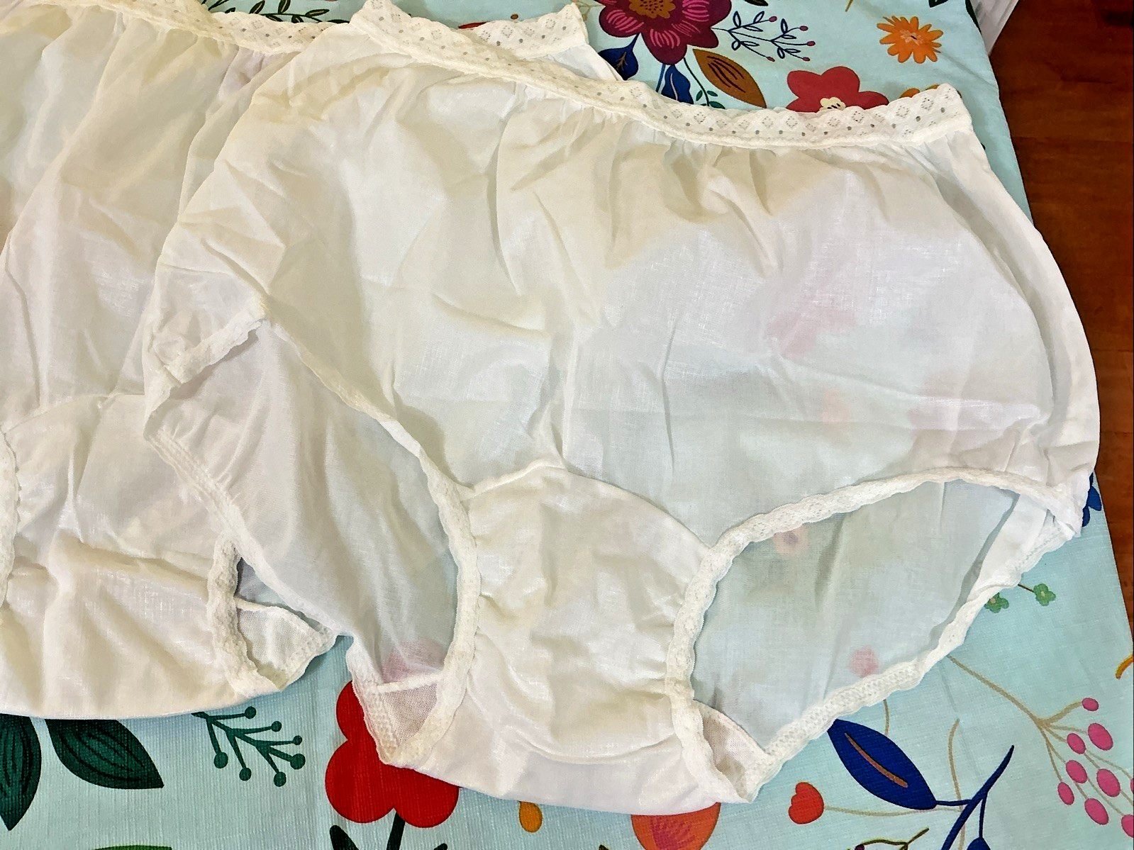 Vintage Carole Brief White Panties Sheer Nylon Panties 3 Pairs Size 7