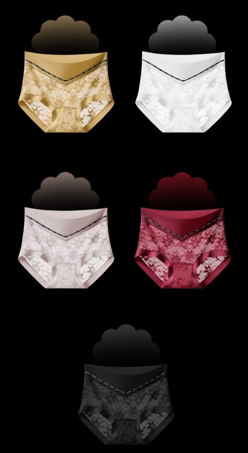 3Pack Womens French High Waist Full Brief Panties Satin Lace Trim Anti Bacterial