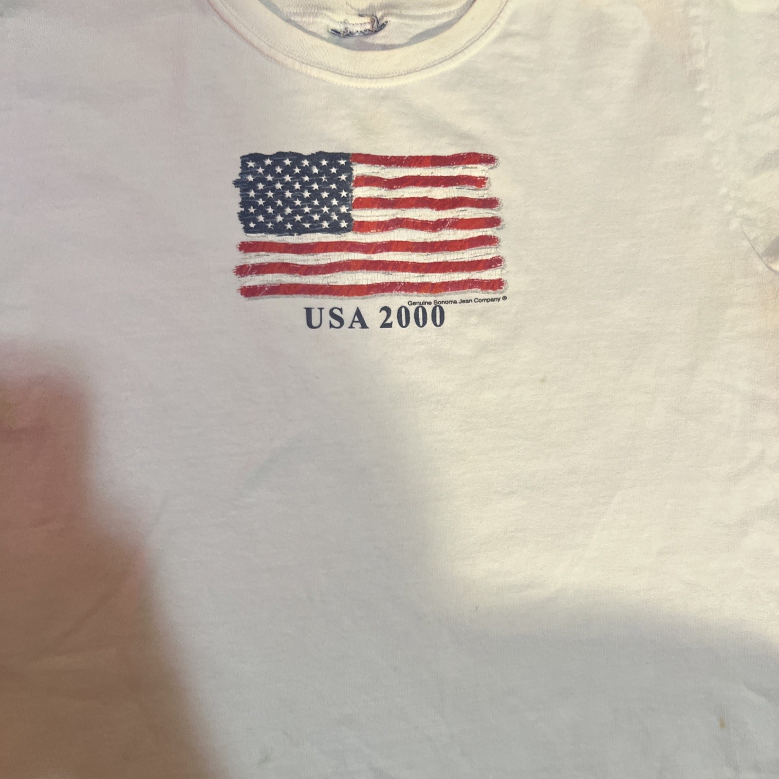 Y2K Summer 2000 T Shirt American Flag Millennium Vintage White M Sonoma Crop