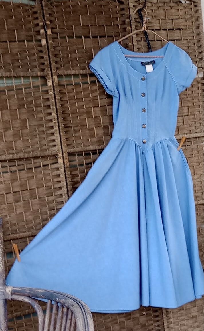 Vintage Denim Dress ~ Basque Waist ~ Full Swing Skirt