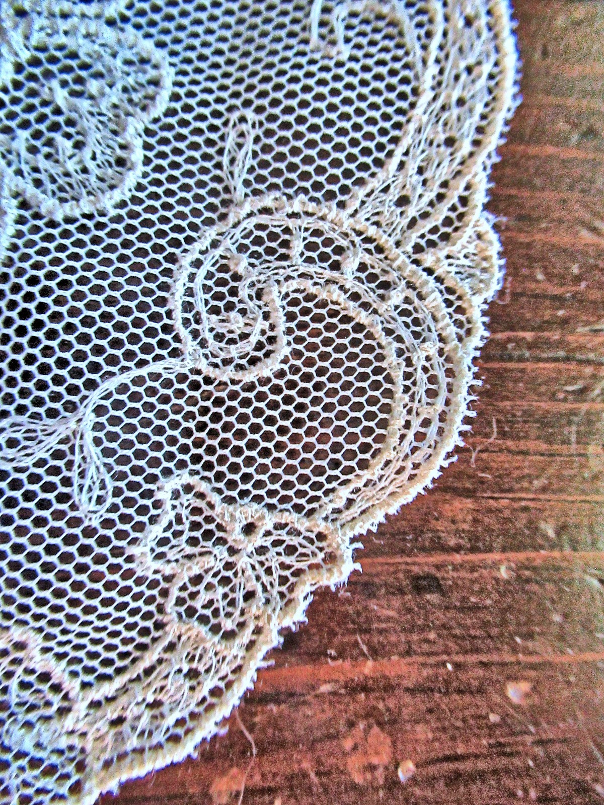 Vtg Lady’s Collar Lappet Scarf Limerick Lace Floral Embroidered Net
