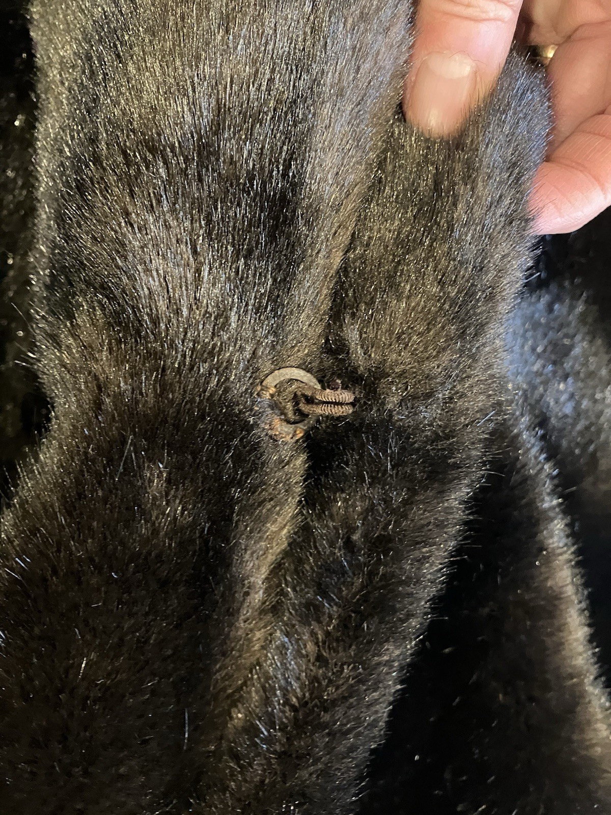 Vintage Evan’s Fur Chicago Tissavel Faux Fur Brown Made In Netherlands