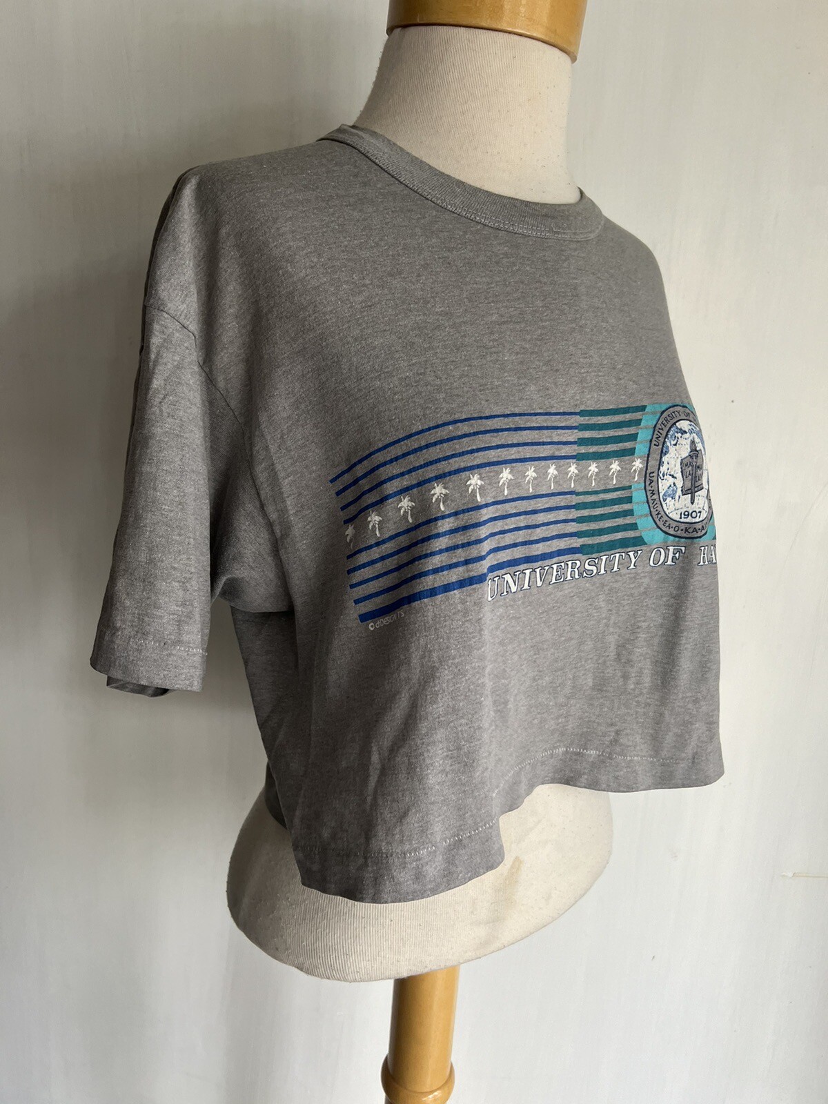 UNIVERSITY OF HAWAII Vintage 80s Design Tees Crop Top T-Shirt Size M/L (XL)