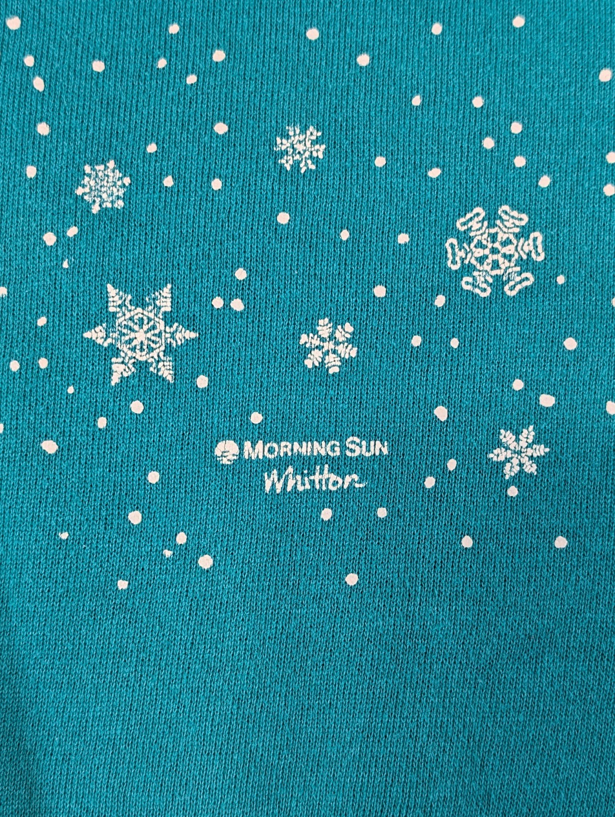 Vintage Morning Sun Whittier Bird Snow Christmas Sweatshirt USA Made Teal Size M