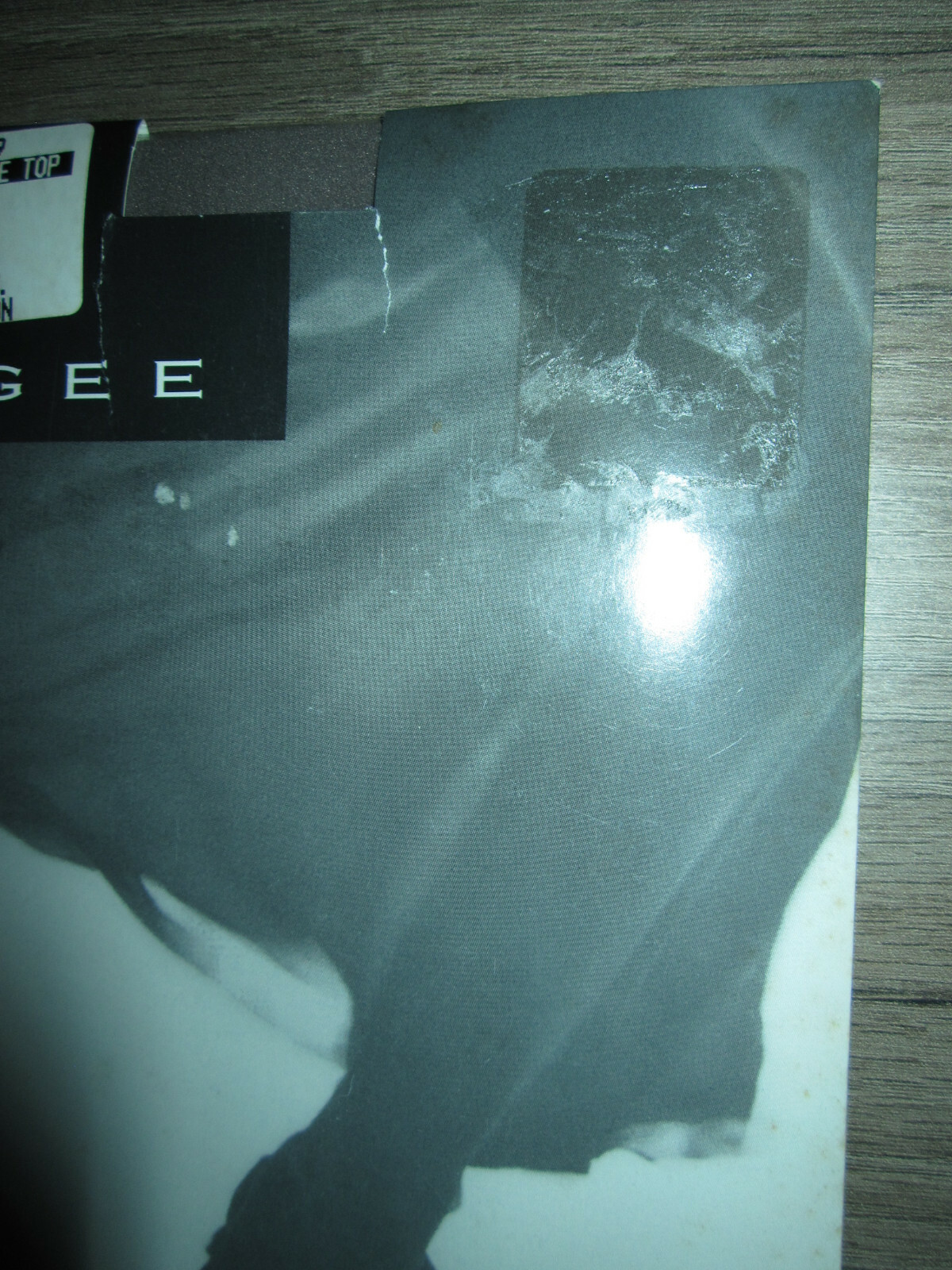 Vtg Ergee Austria Sheer Legs Girdle Top Grey Mist pantyhose nylons, style #6019
