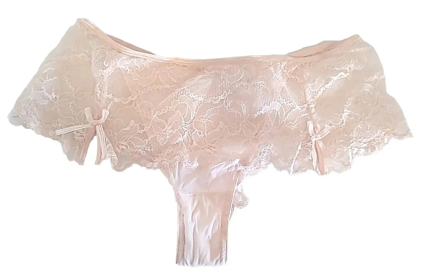 Chantelle Sheer Mesh Floral Lace Panties Sz M ,made In France New
