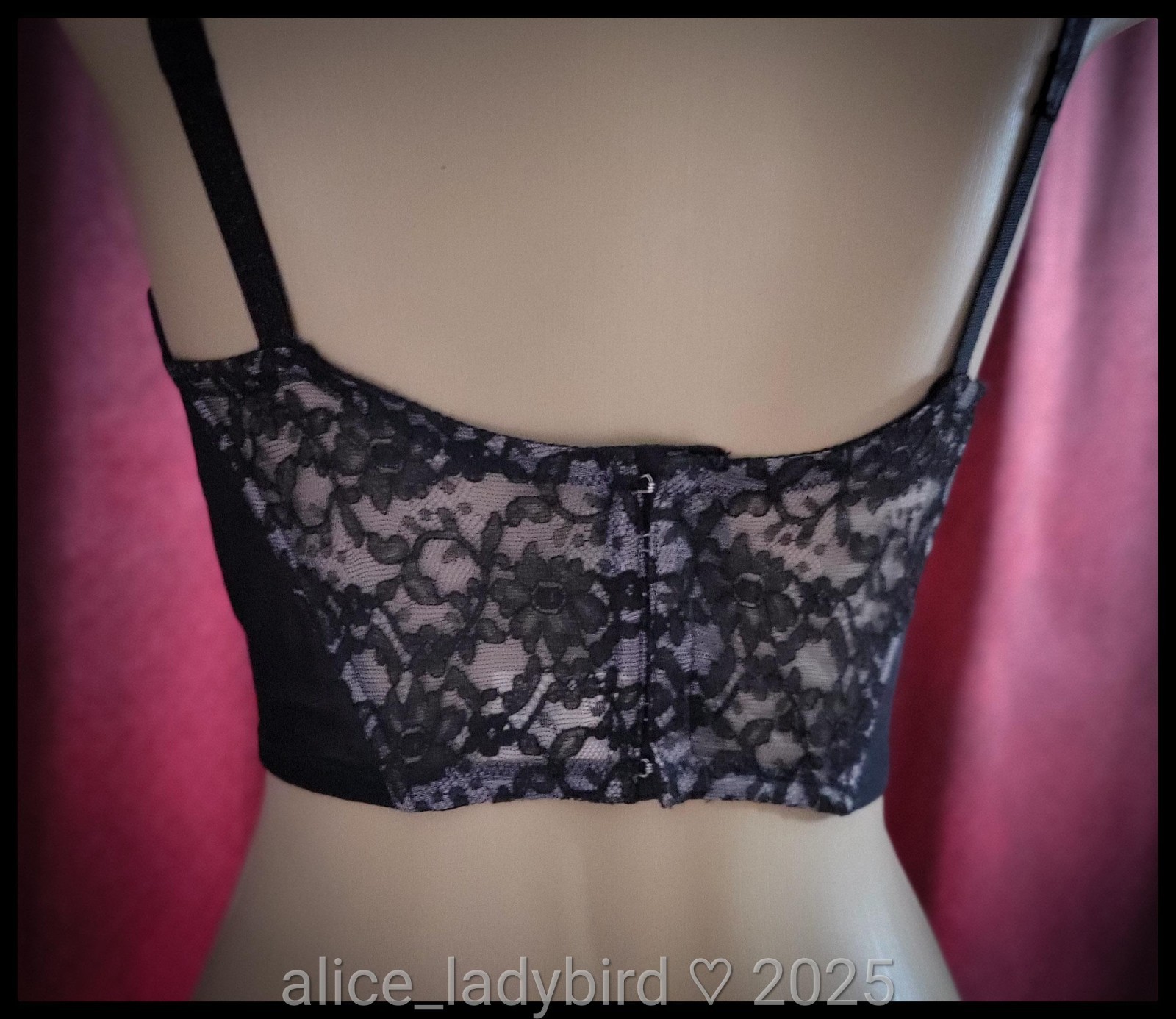 NWT Vintage VASSARETTE Bustier BRA Floral LACE Sheer Pink Corset Top S/M 34 B