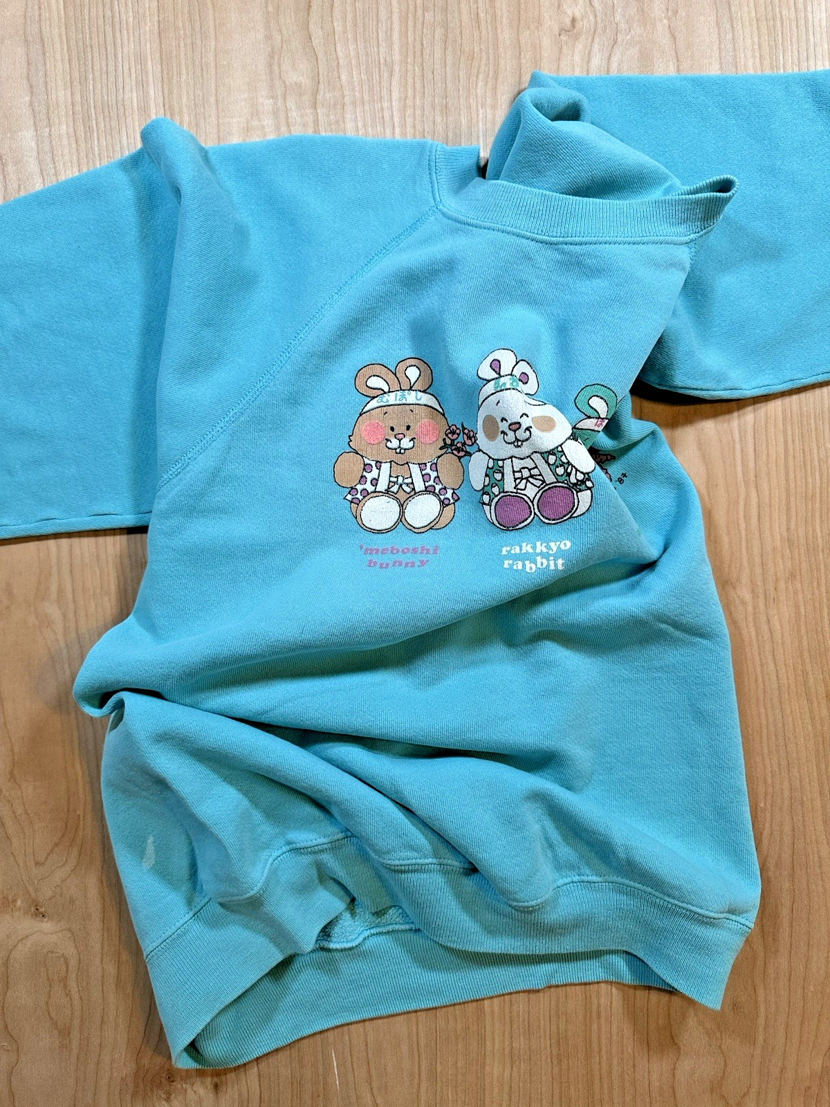 vintage 1987 japanese bunny rabbit CUTE SWEATSHIRT hanes L KAWAII aya-ko MOCHI