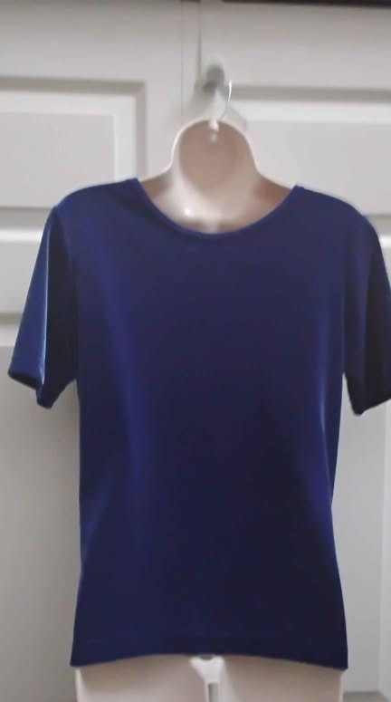 GANTOS Women’s Medium Blue Velvet Top Short Sleeves Round Neck Vintage New