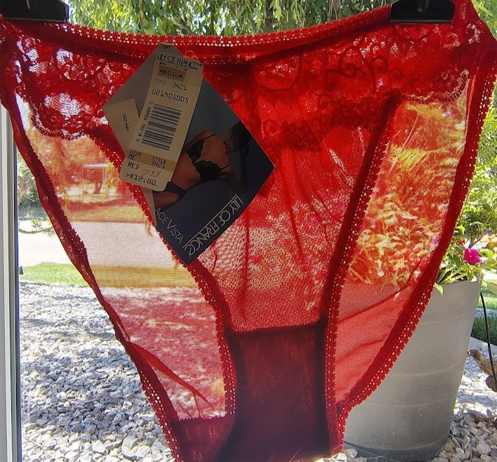 VINTAGE LILY OF FRANCE SHEER HIGH CUT PANTY Lace Delores Size Medium NOS Red