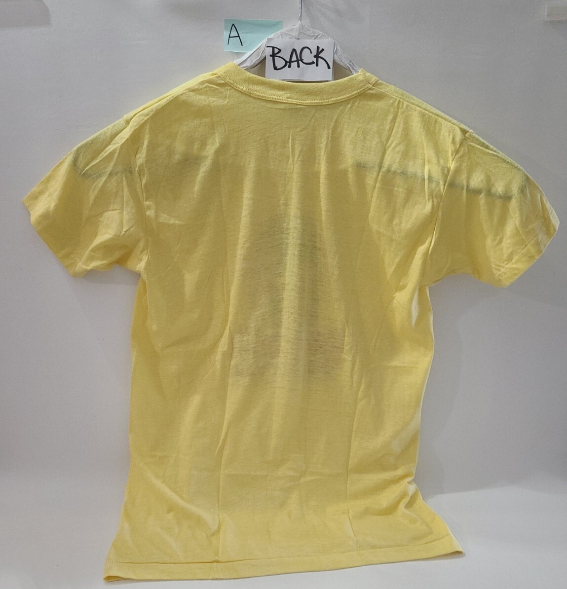Vintage Gasparilla Children’s Parade Tampa Single Stitch Tee Shirt Large 1983 A