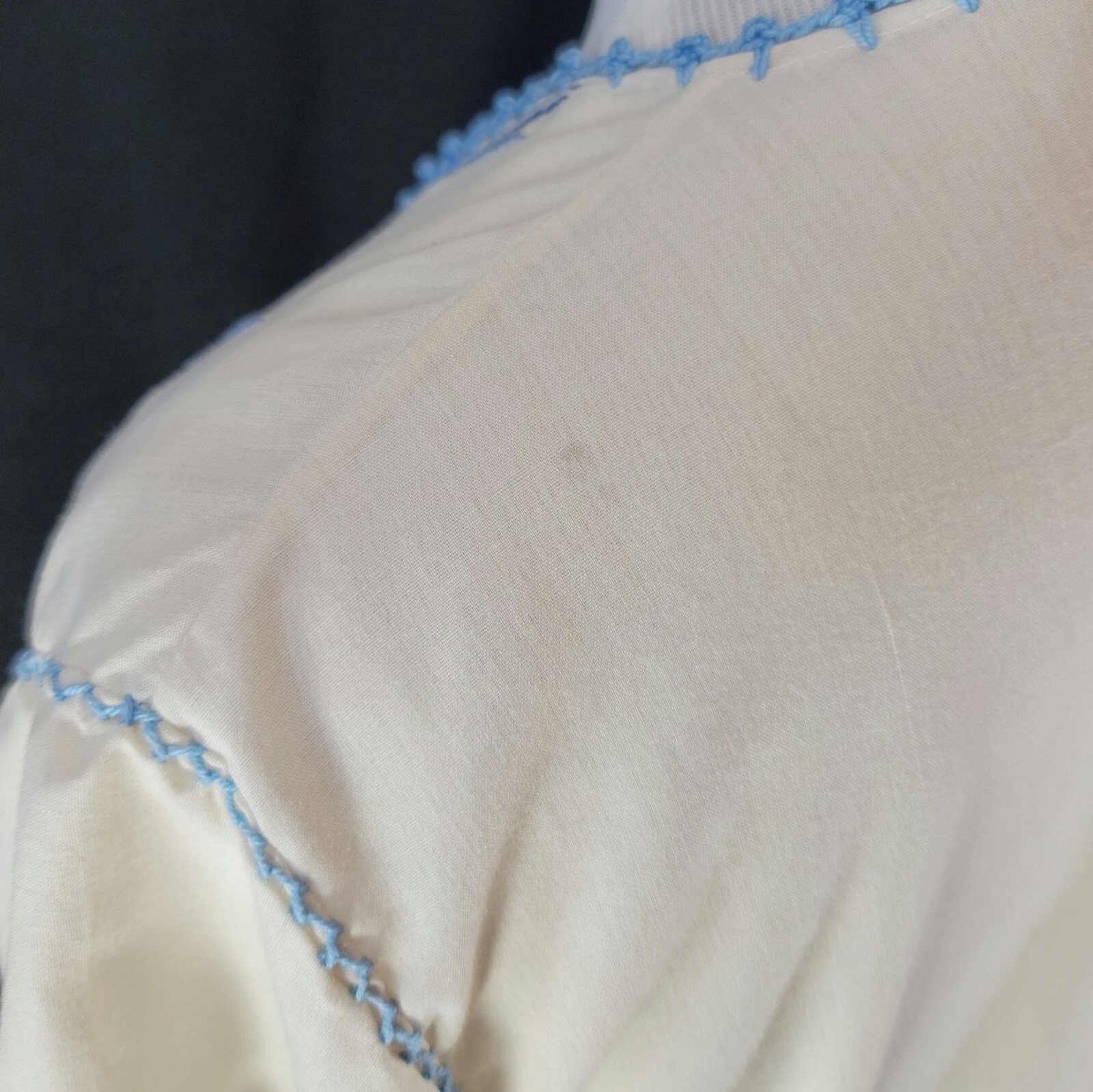 Vintage 1930s Hungarian White & Blue Bohemian Embroidered Floral Folk Blouse S