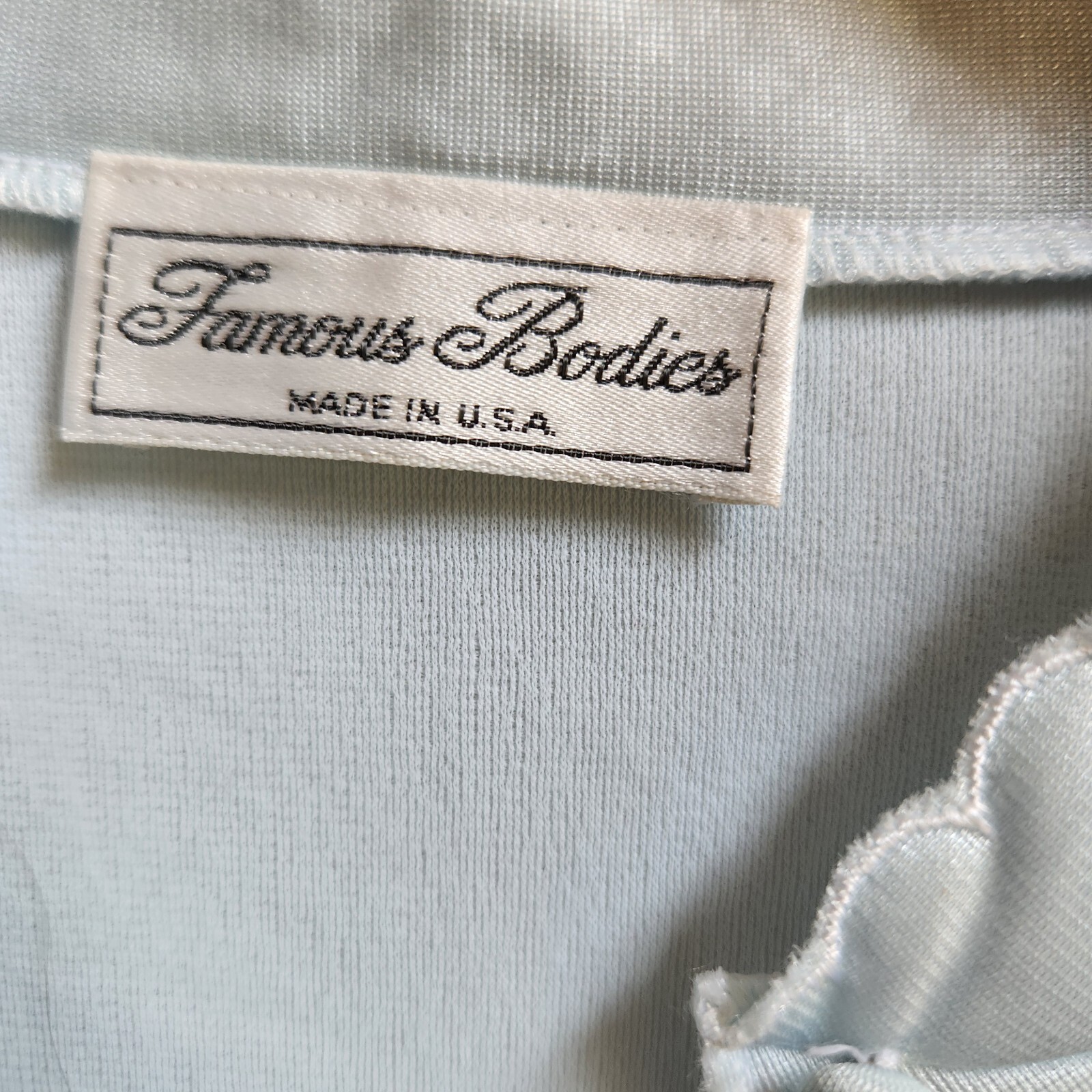 Vtg Famous Bodies Long Nightgown L Soft Blue Nylon Embroidery Sears Roebuck USA
