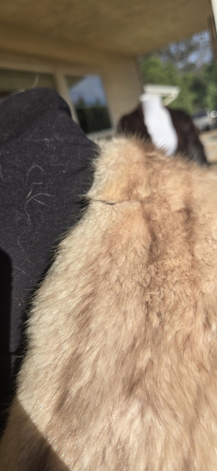 1950s BLONDE MINK FUR CAPELET w/POCKETS & SATIN LINING 21″ Shoulder 15″ Length