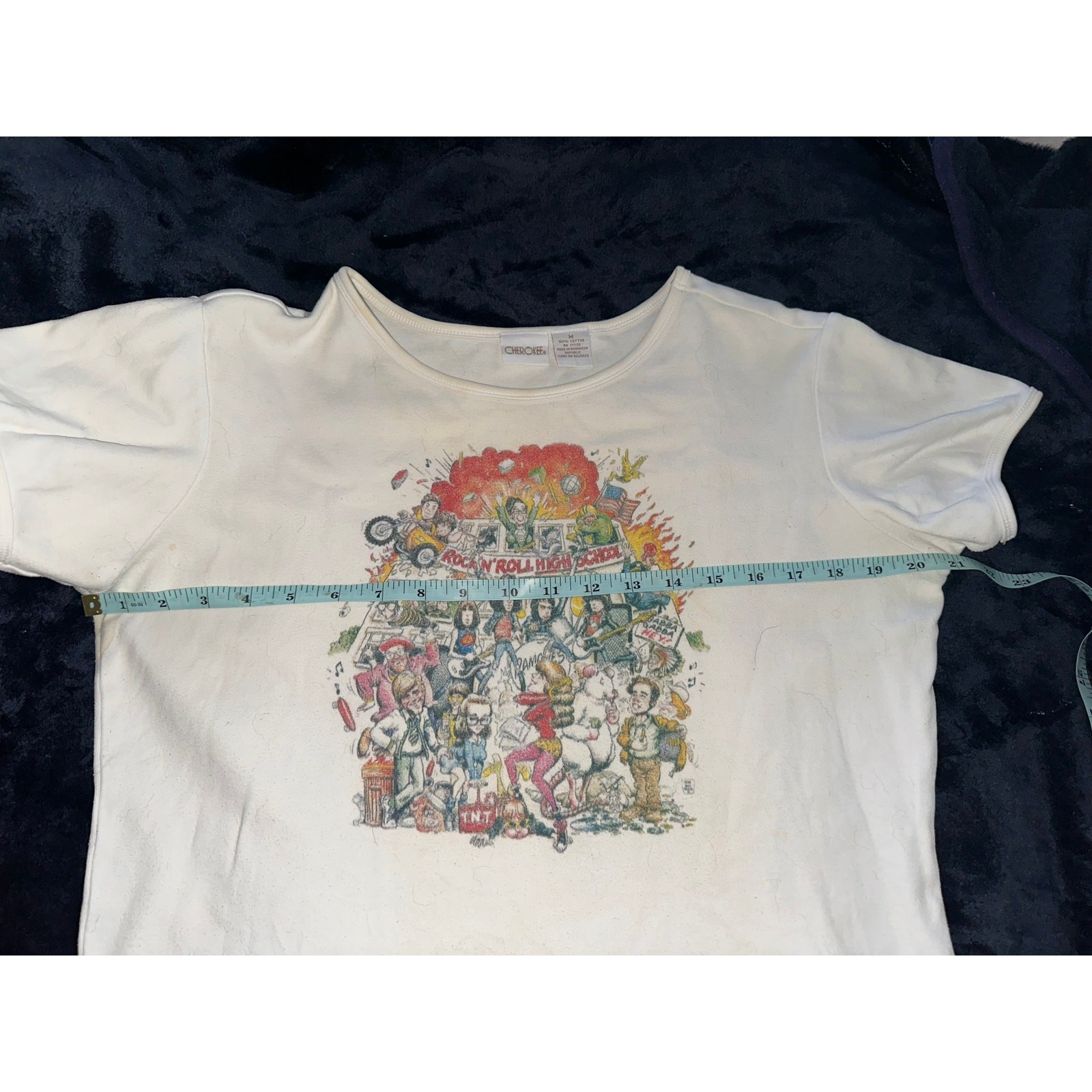 VINTAGE 80’s RAMONES ROCK N ROLL HIGH SCHOOL TEE