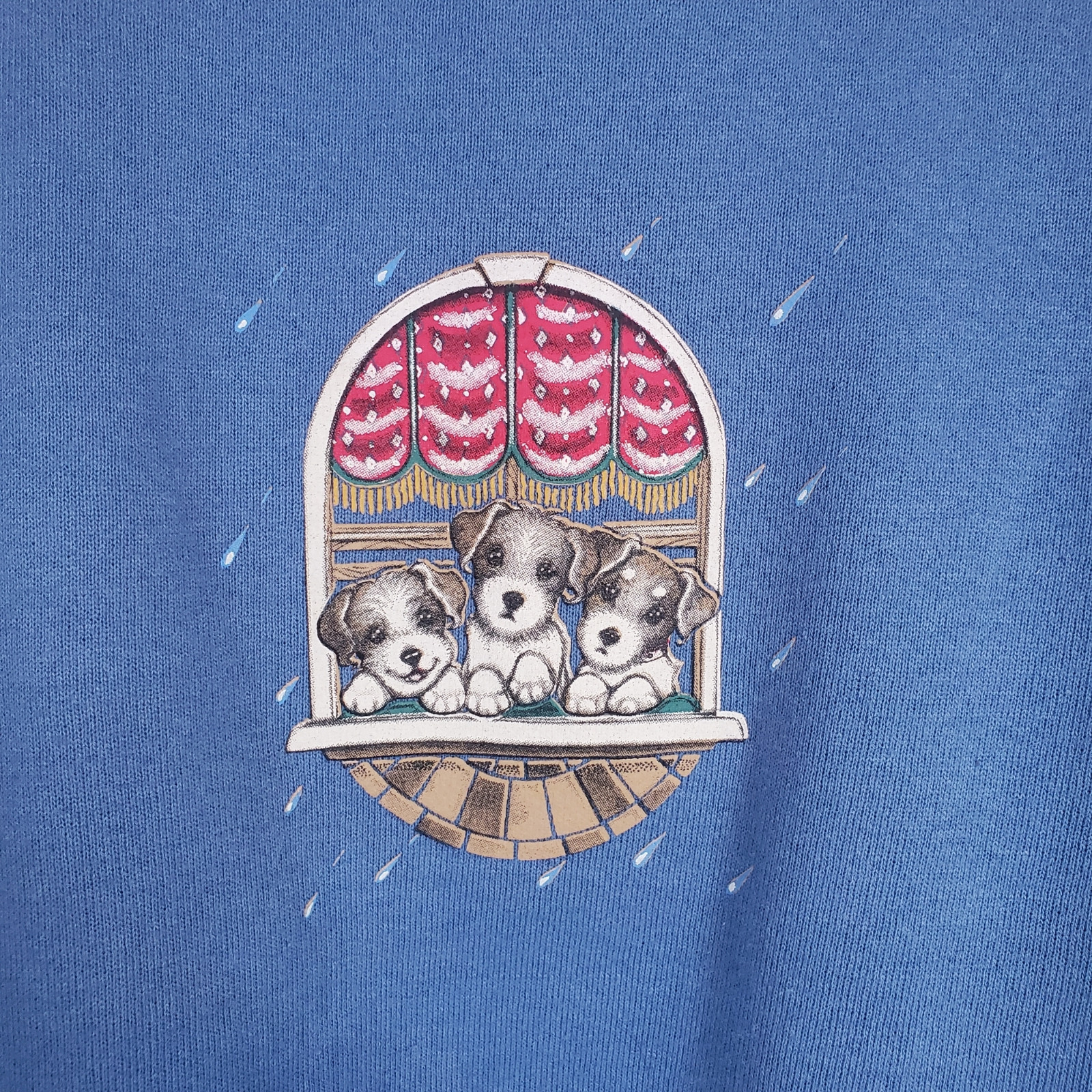 VTG Puppy Cat Rain Sweatshirt XL Morning Sun Periwinkle Blue Grandma Cottagecore