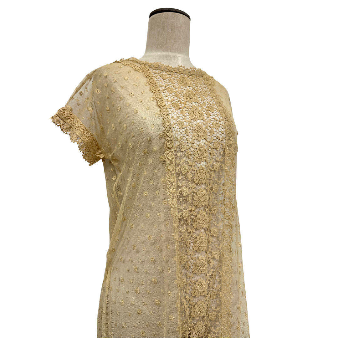 Antique 1900s Edwardian Ecru Net Lace Floral Short Sleeve Sheer Tea Dress