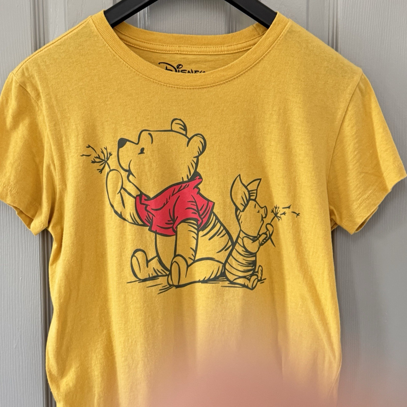 Disney Winnie The Pooh Honey Gold Pooh And Piglet Small Short Sleeve Shirt