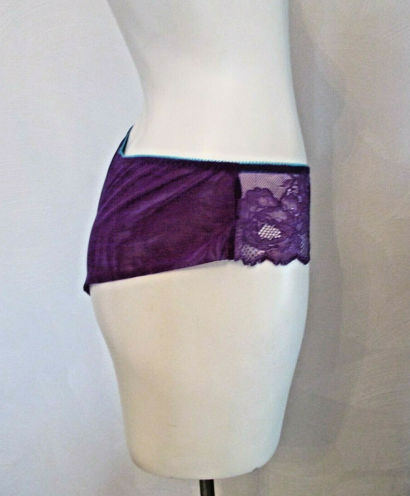 Victoria’s Secret Purple Mesh back Chantilly Lace Front Hiphugger Bikini Panty M