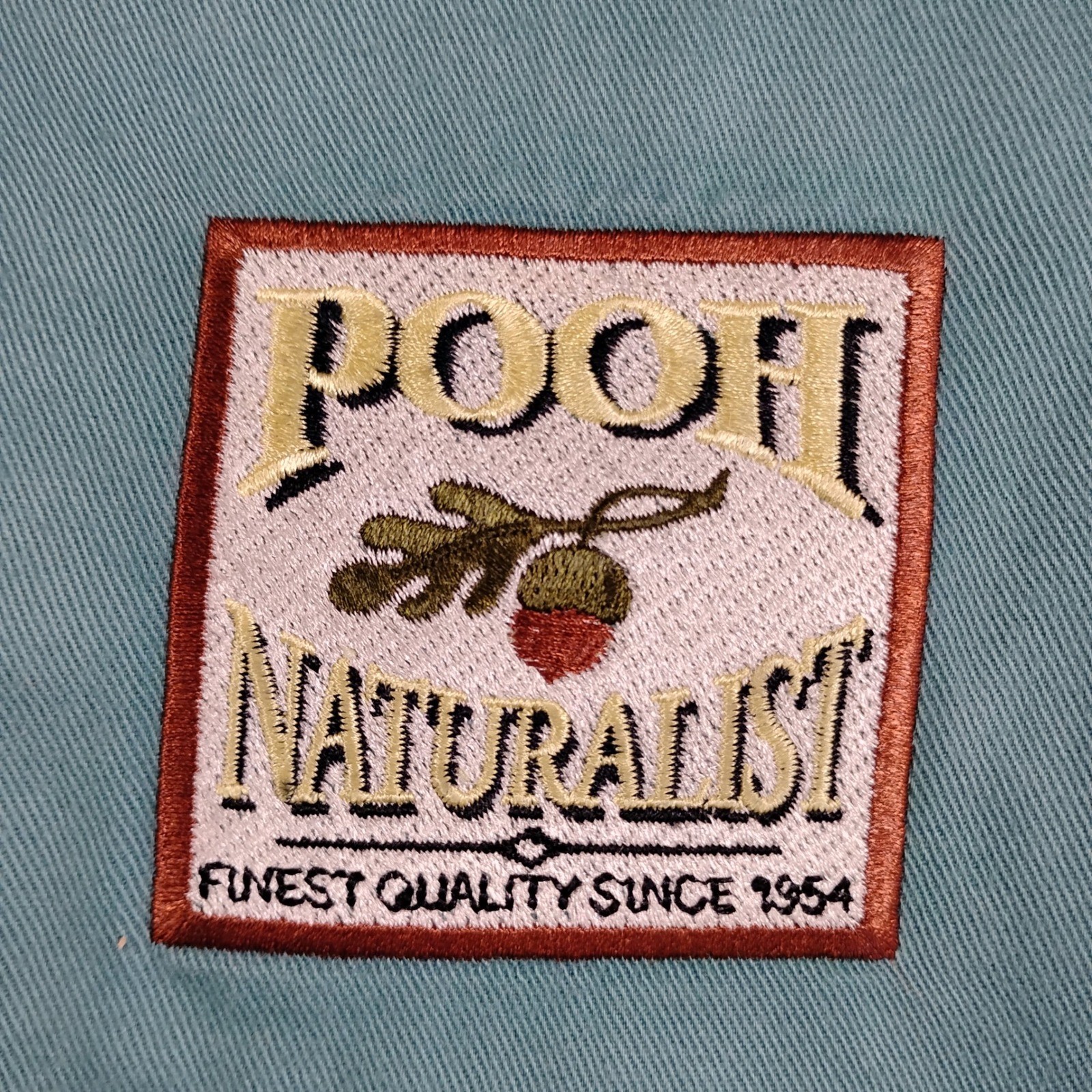 Vintage Disney Store Pooh Naturalist Embroidered Button Down Shirt Sage Green M