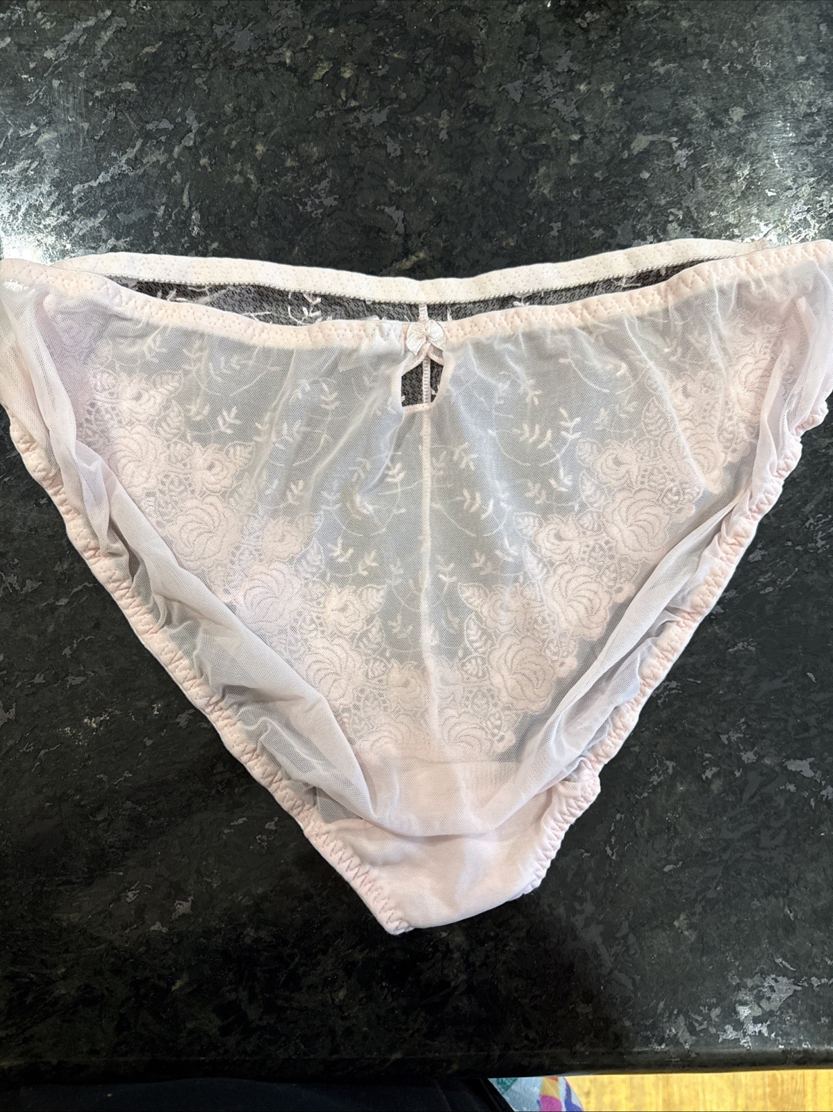 Vintage DELICATES Sheer Mesh and Lace Bikini Panties 2XL