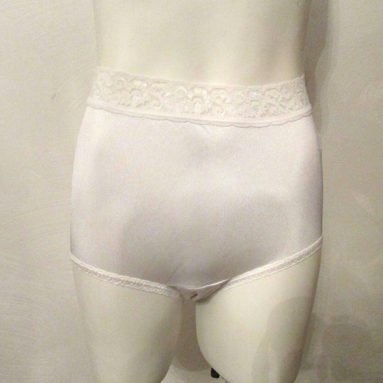Hanes Shiny Silky Semi Sheer Nylon Lace Waistband Full Cut Granny Brief Pantie 5