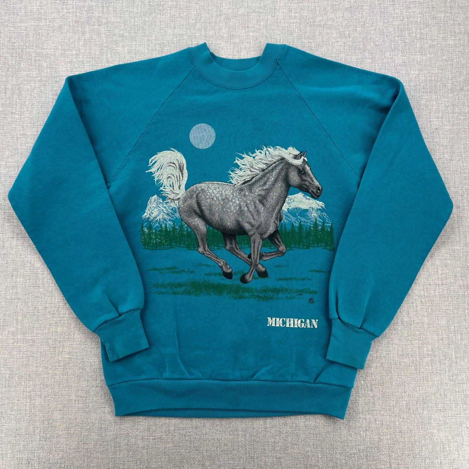 VTG 90s Horse Graphic Sweatshirt Women M Michigan Jerzees Teal Crew USA Made