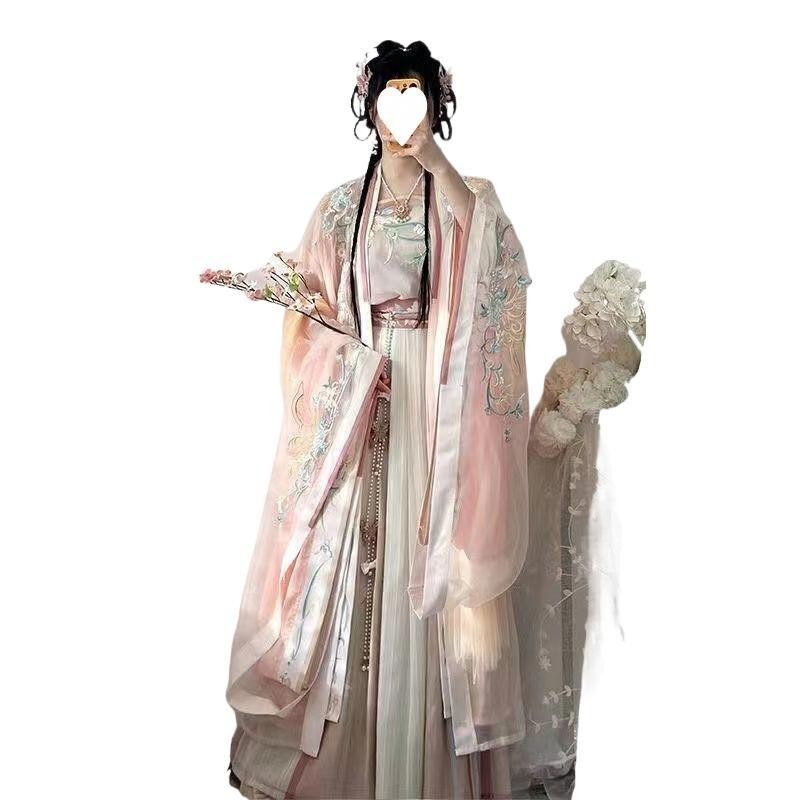 Ancient Chinese Traditional Women Song Dynasty Embroidery Print Hanfu Dress