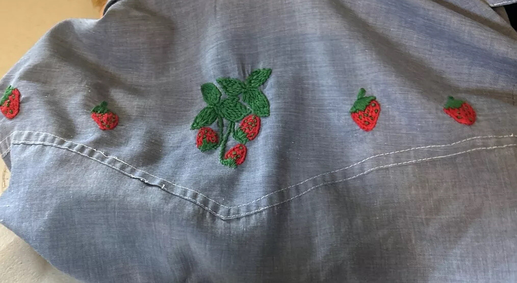 Vtg Anthony’s Shirt Women’s Sz S Embroidered Owl Western Pearl Snap See Tag Pic