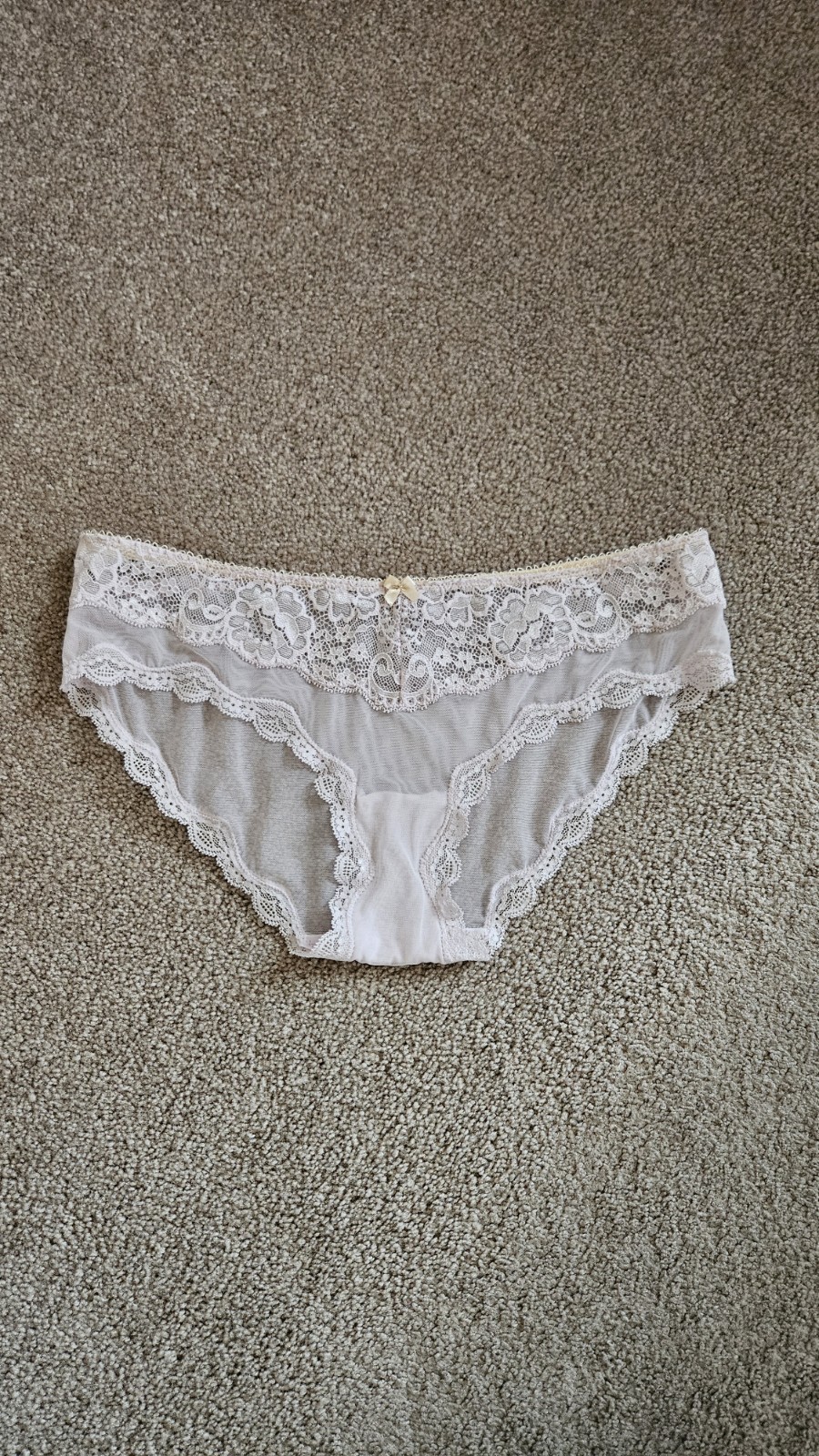 NWOT Victoria’s Secret Vintage Sheer Nylon Lace Pale Pink Bikini Panty Sz M 2009
