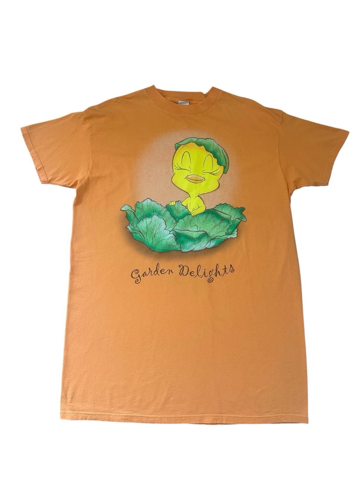 Vintage Tweety Bird Night Shirt Orange 90’s Garden Delight