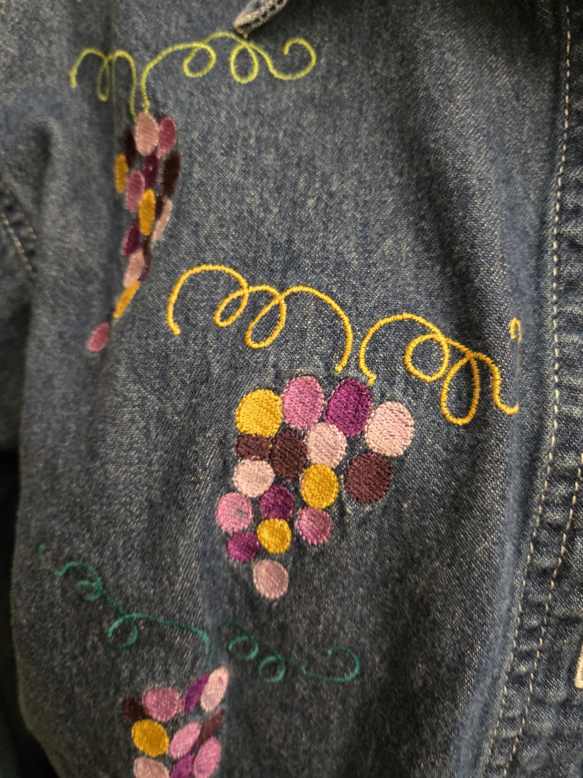 Silver Threads Vintage Embroidery Jean Shirt Large Multicolor Grapes Size LARGE