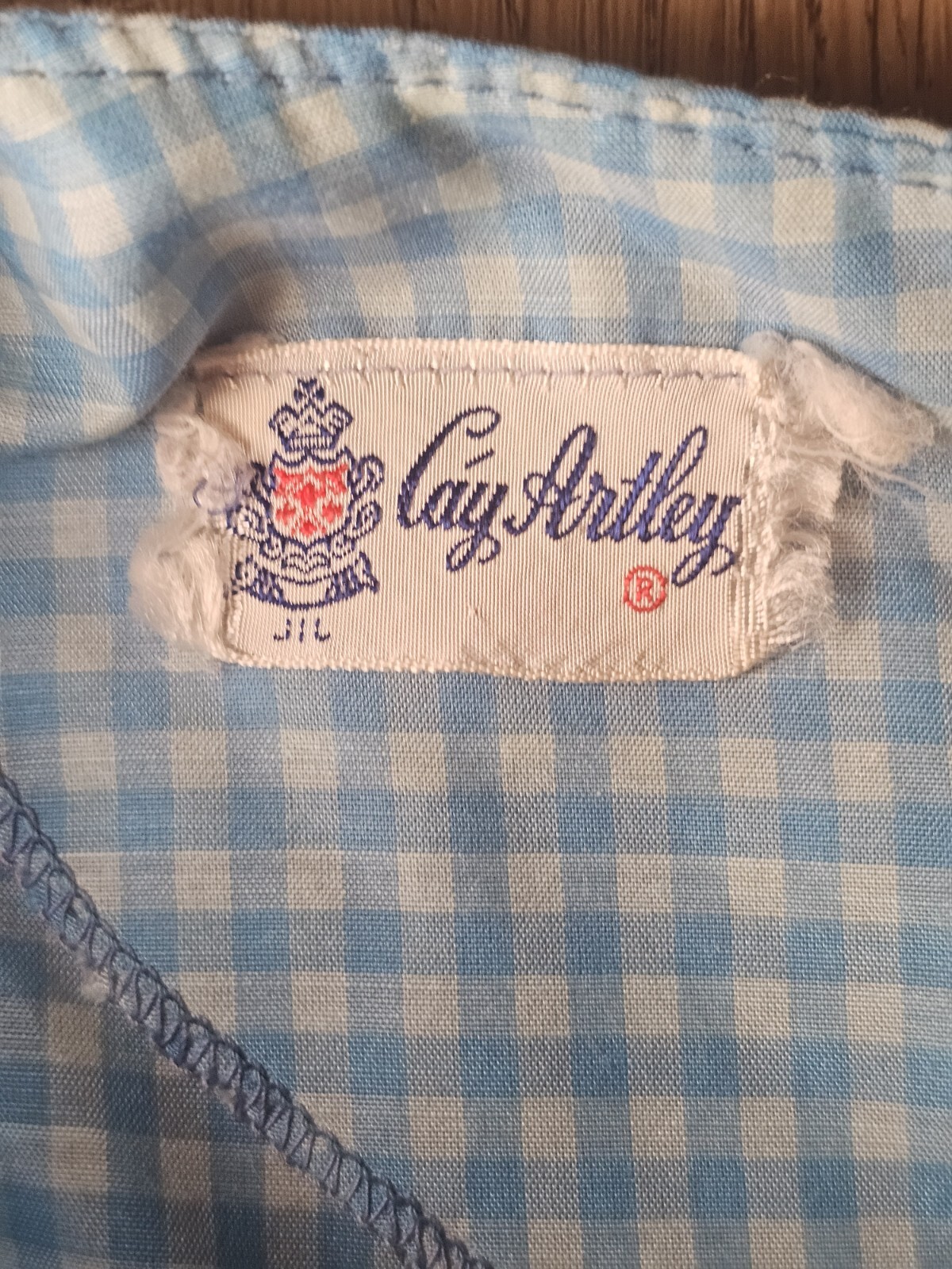 Cay Artley Vintage Dress Size Small S blue in white check viral Item 70s