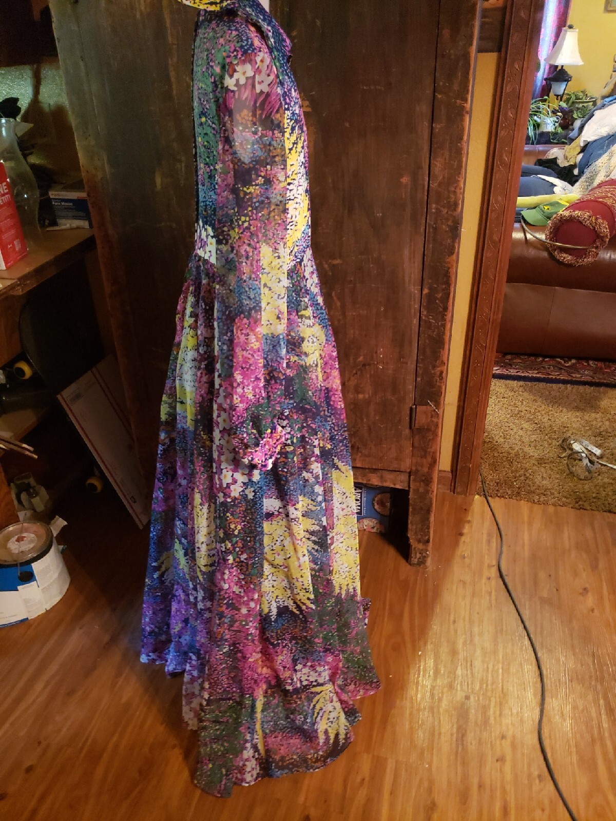 Vintage 1960s Don Luis De Espana multi Color floral Garden Chiffon Maxi Dress