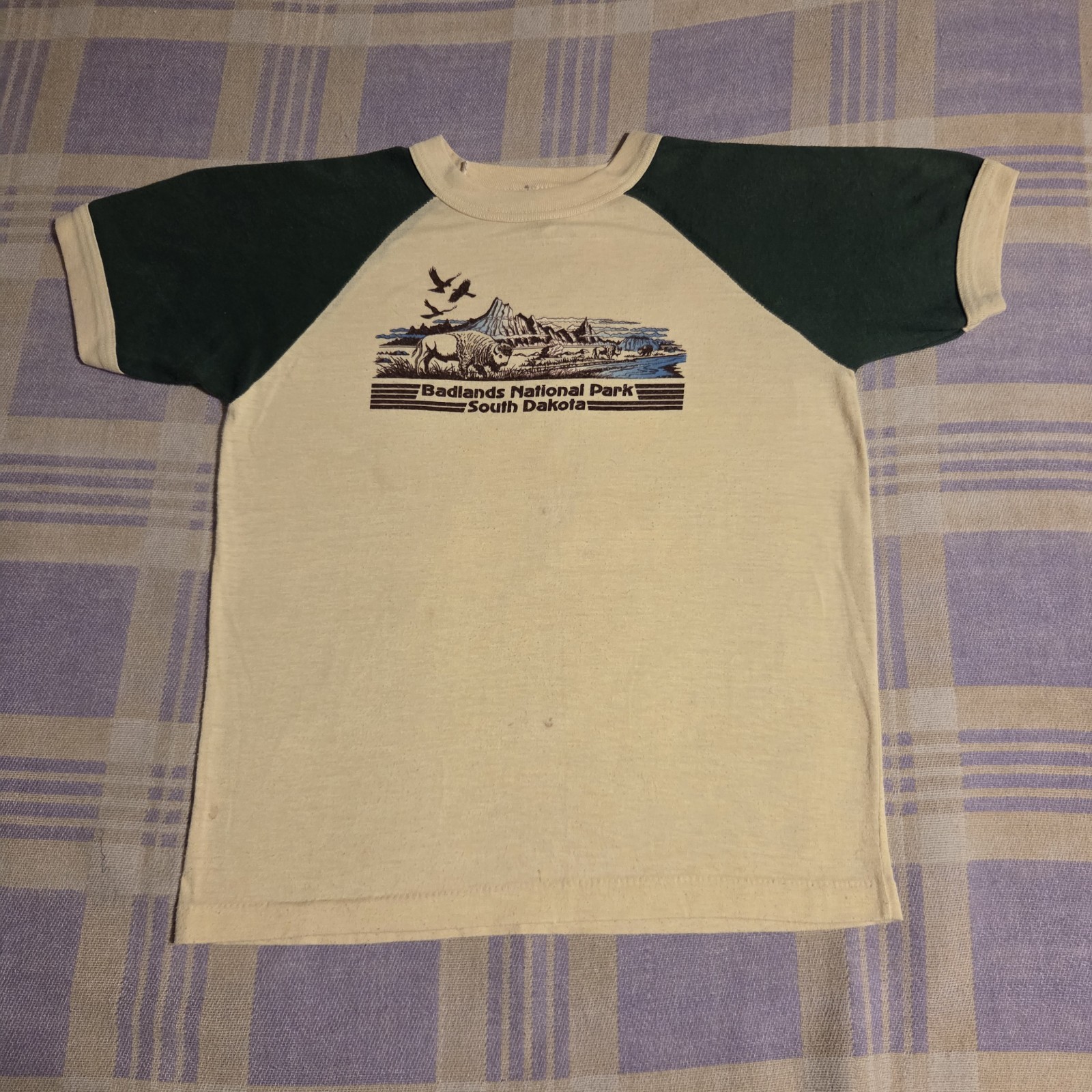 Vintage 80s Badlands National Park South Dakota Graphic T Shirt USA Hiking Women