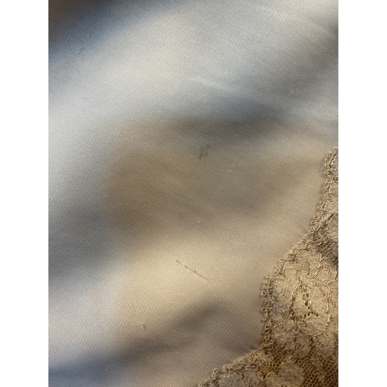 Vintage Charmode Sears Half Slip Beige Lace Floral Embroidery Small 25 Inch Long