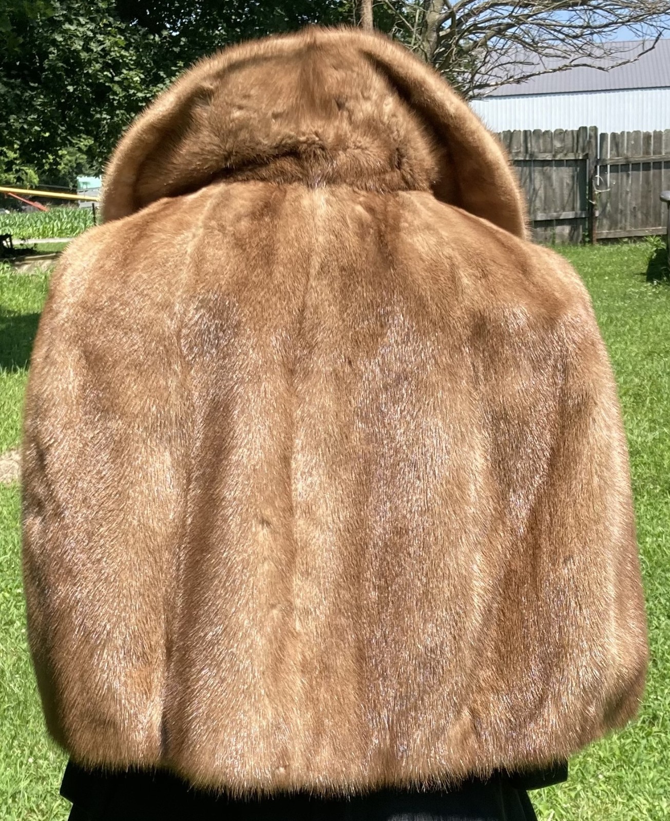 GUC Vtg 1950s Champagne Sable Fur Stole Shawl Jones Fur Service NC & W.VA