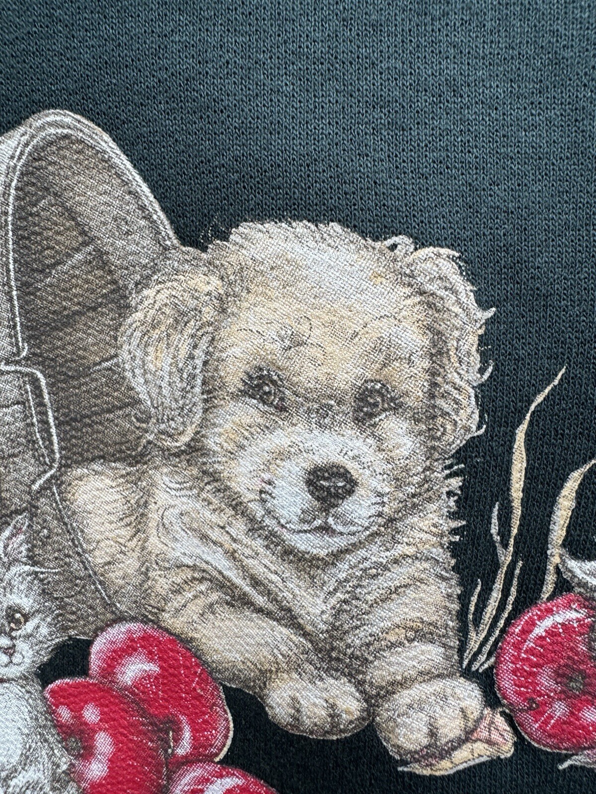 Vintage Kitten Puppy Dogs Cats Sweatshirt 80s 90s Apple Harvest Grannycore Fall