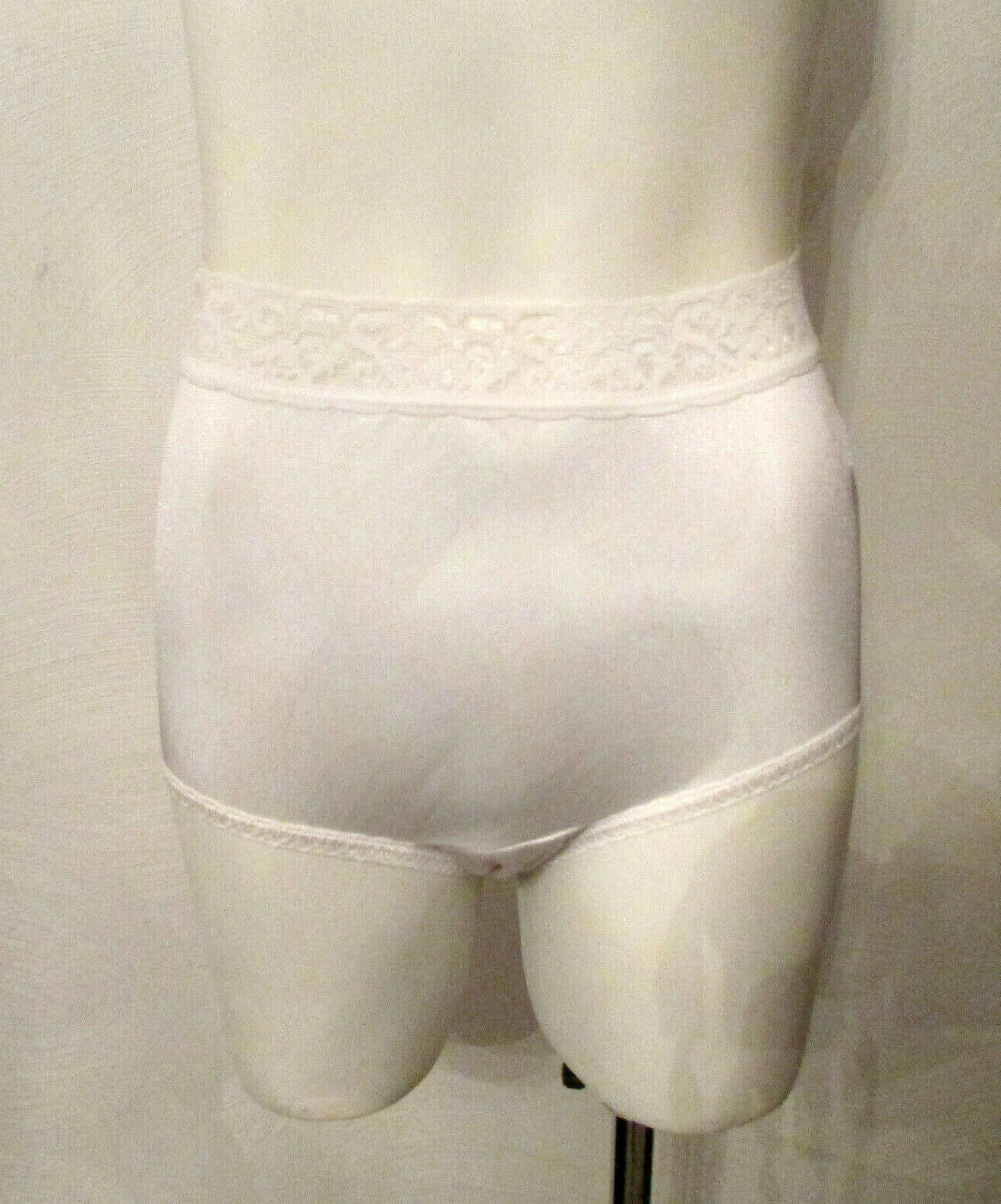 Hanes Shiny Silky Semi Sheer Nylon Lace Waistband Full Cut Granny Brief Pantie 5
