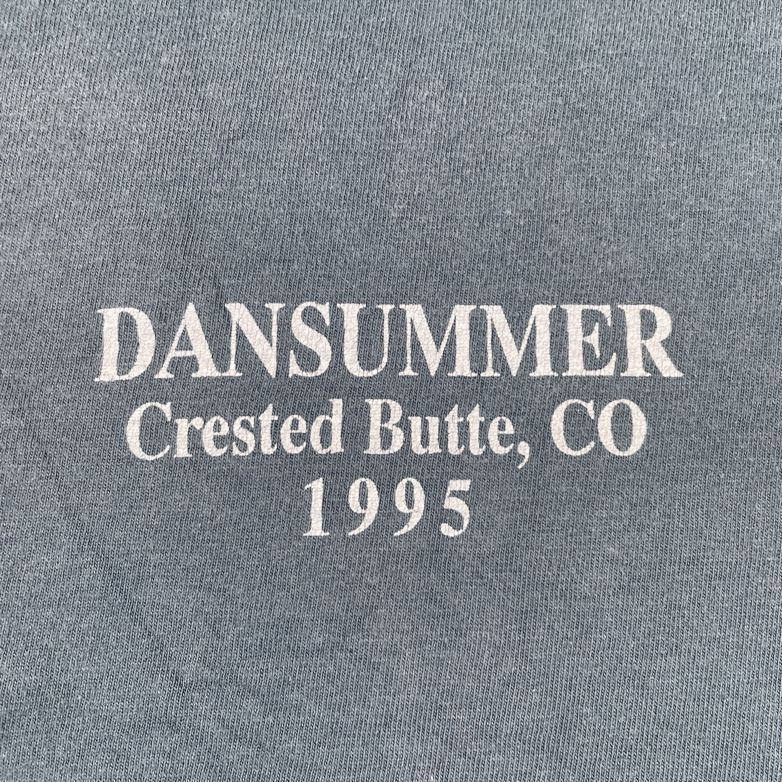 Vintage Hanes L DANSUMMER Dance Crested Butte Colorado Shirt 1995 Cropped USA