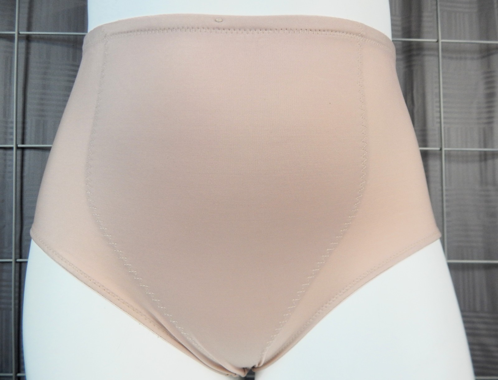 DR. Robert Rey Instant Shape Nude Firm Control Brief Style Girdle, Size 1X