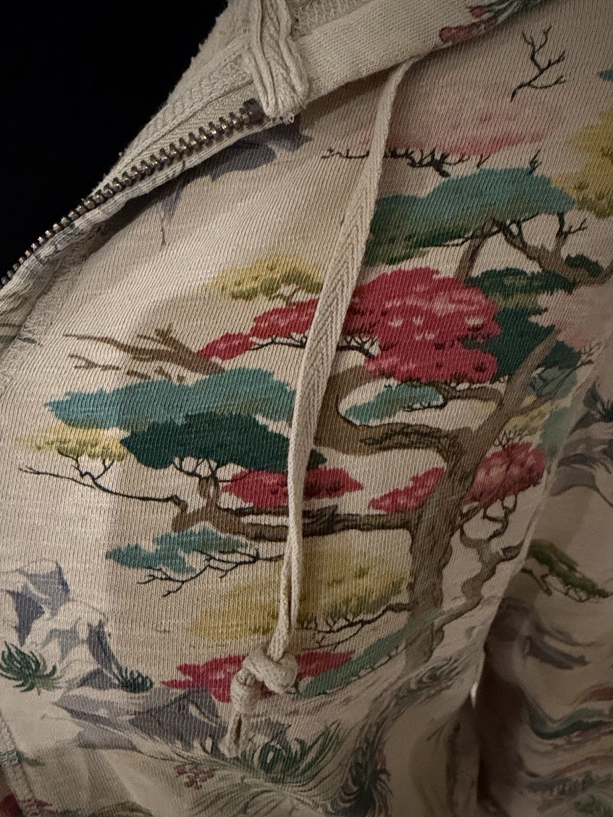 RARE Vtg Y2K Lucky Brand Bonsai Landscape Full Zip Hoodie
