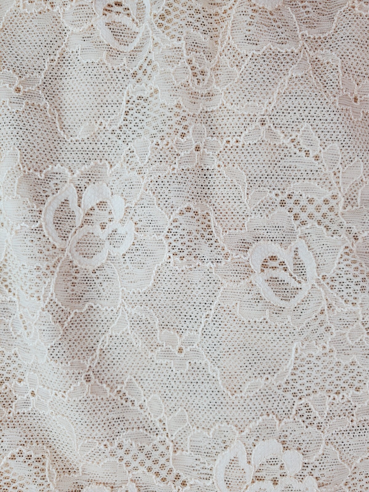 Vtg Panty Girdle Sz 16 Lace Mesh Sculpting Granny Cincher Brief Sissy Pin-up