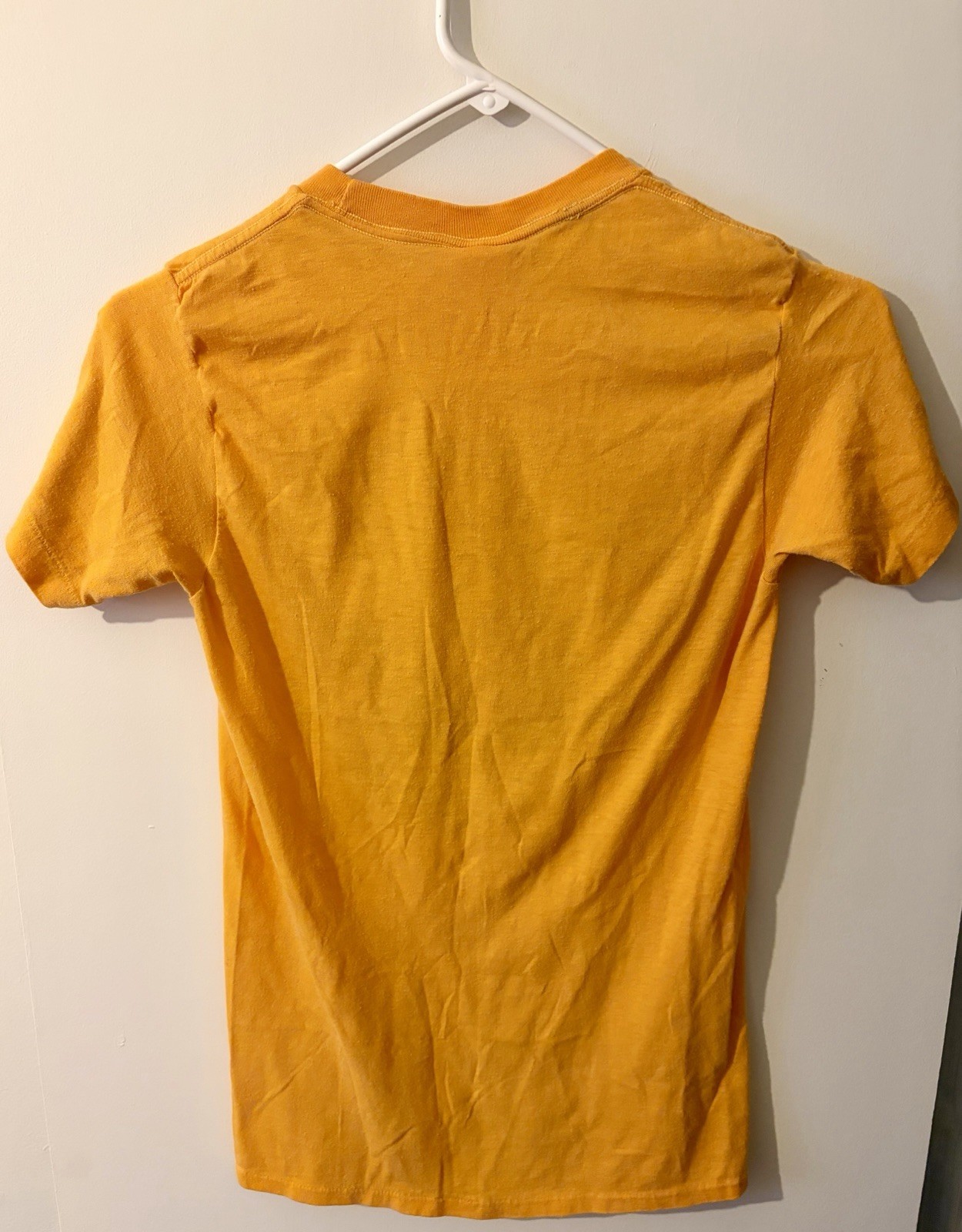 Vintage 70s 1979 Pittsburgh Power Steelers Pirates Championships Tee T-Shirt Sm