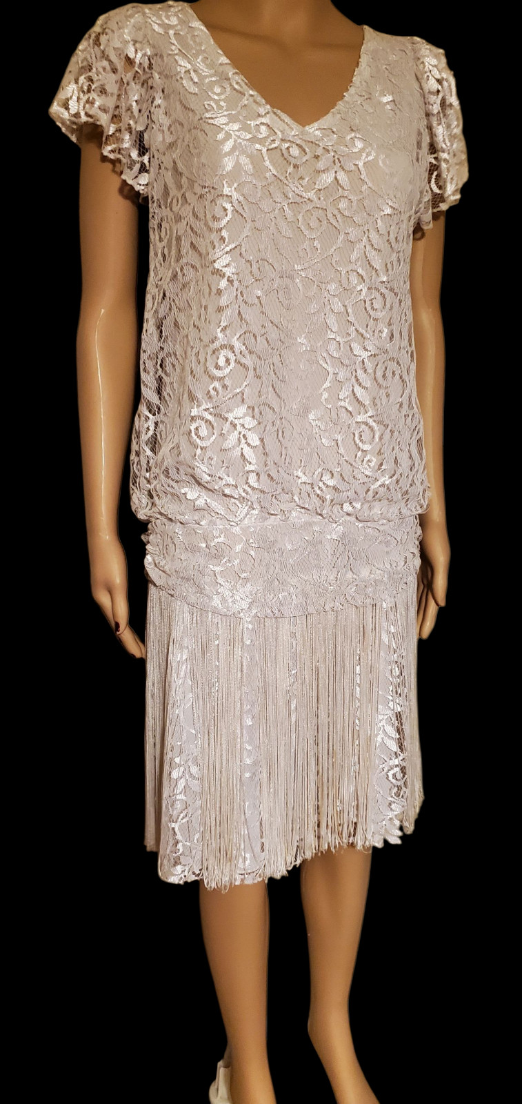 🍸VTG 80s Deco Revival Roaring 20s Flapper Shimmer Lace Fringe Drop Waist Dress