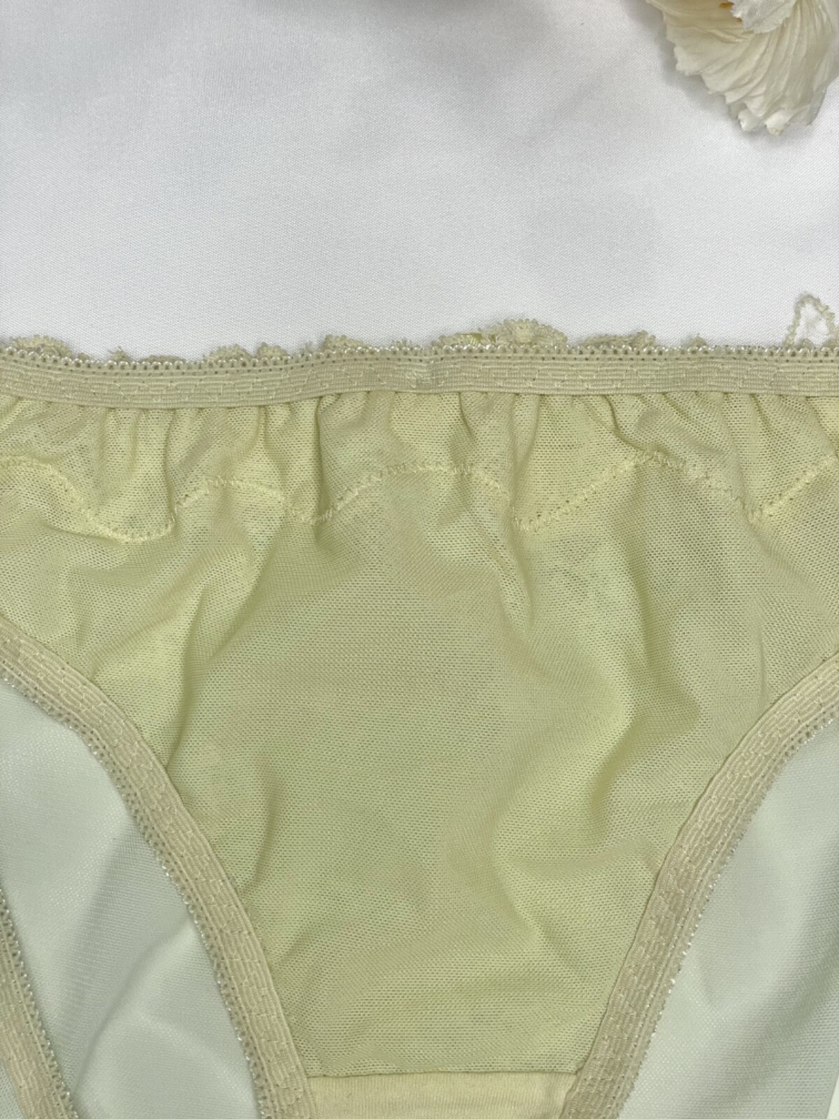 Vintage Silky Pale Nylon Mesh Sissy Panty Sz.5 Floral Lace Briefs Hip 34-37″